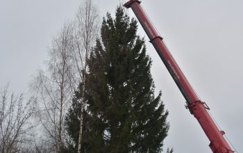 Egle 2024