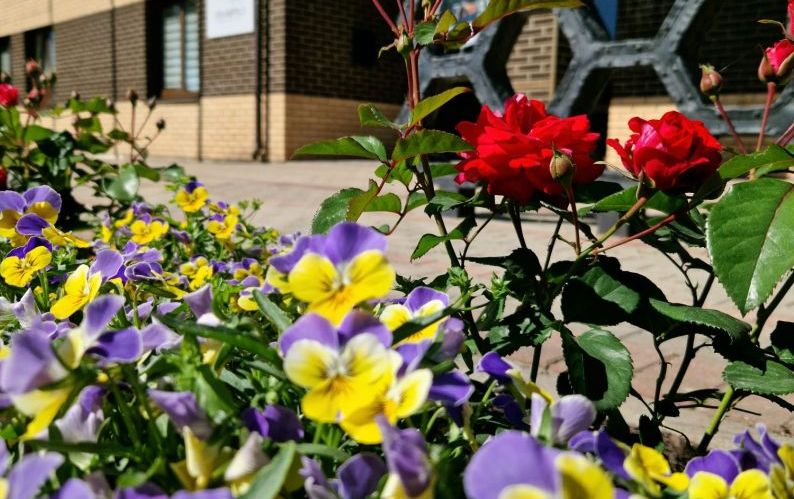 Darba laika izmaiņas Līgo svētkos