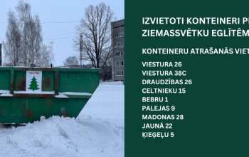 Kā pareizi atbrīvoties no Ziemassvētku eglītēm