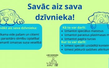 #tiravide #atbildigssaimnieks 