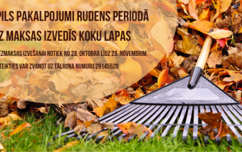 Līdz 23. novembrim turpinām pieņemt pieteikumus par lapu izvešanu no privātmāju teritorijām, pa tālruni 29145520.