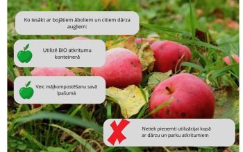 Ko iesākt ar bojātiem dārza augļiem
