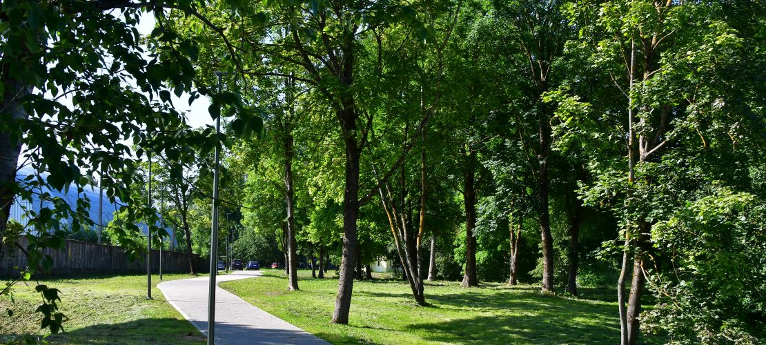 Jēkabpilī tapis jauns gājēju un velobraucēju celiņš
