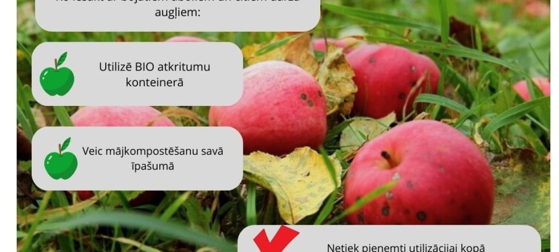 Ko iesākt ar bojātiem dārza augļiem